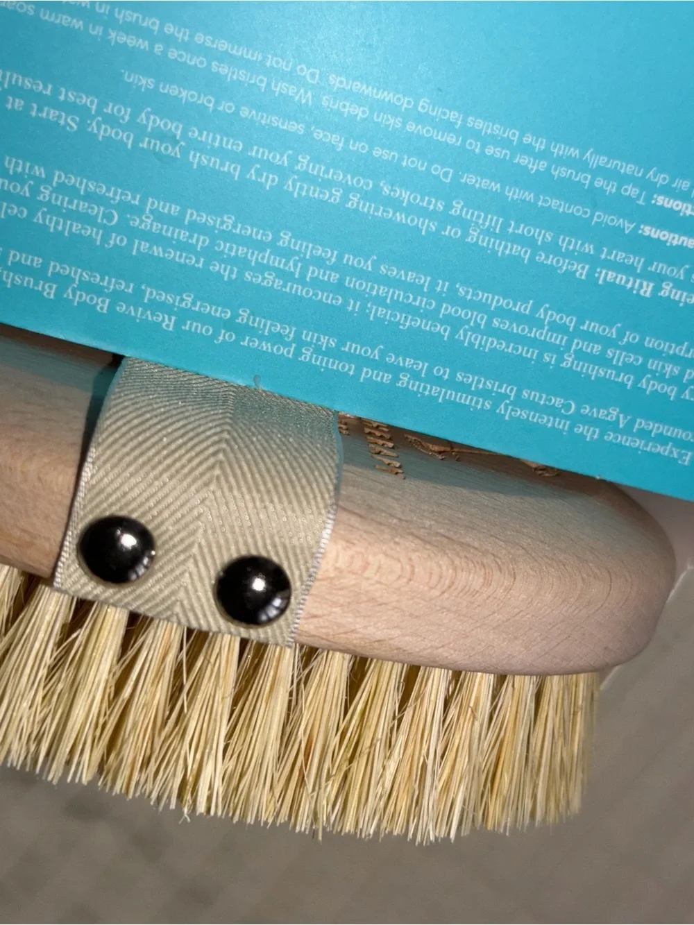 NWT Wooden Dry Brush - Cactus Bristles